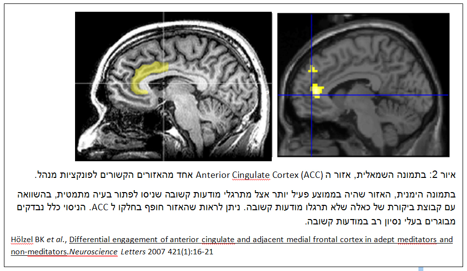 פונקציות מנהל אצל ילדים שעברו שעורי מודעות קשובה בארה"ב (קצר)